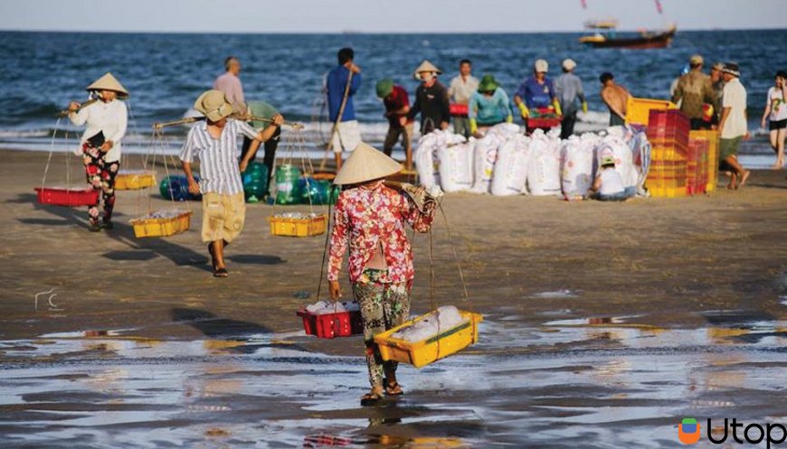 Ngắm view biển siêu đẹp tại làng chài Phước Hải